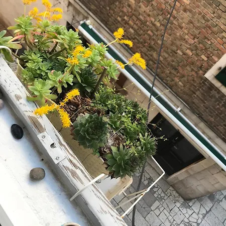 Apartment Dosud House *